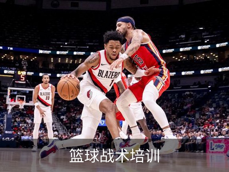 篮球战术培训概况